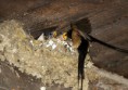 /album/zoo/img-0171-masolata-masolata-jpg/